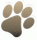 Paw Logo
